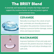 BRIXY - Shampoo Bar - Mint Eucalyptus (113g)