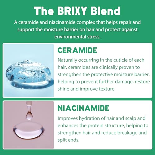 BRIXY - Shampoo Bar - Mint Eucalyptus (113g)