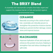 BRIXY - Shampoo Bar - Mint Eucalyptus (113g)