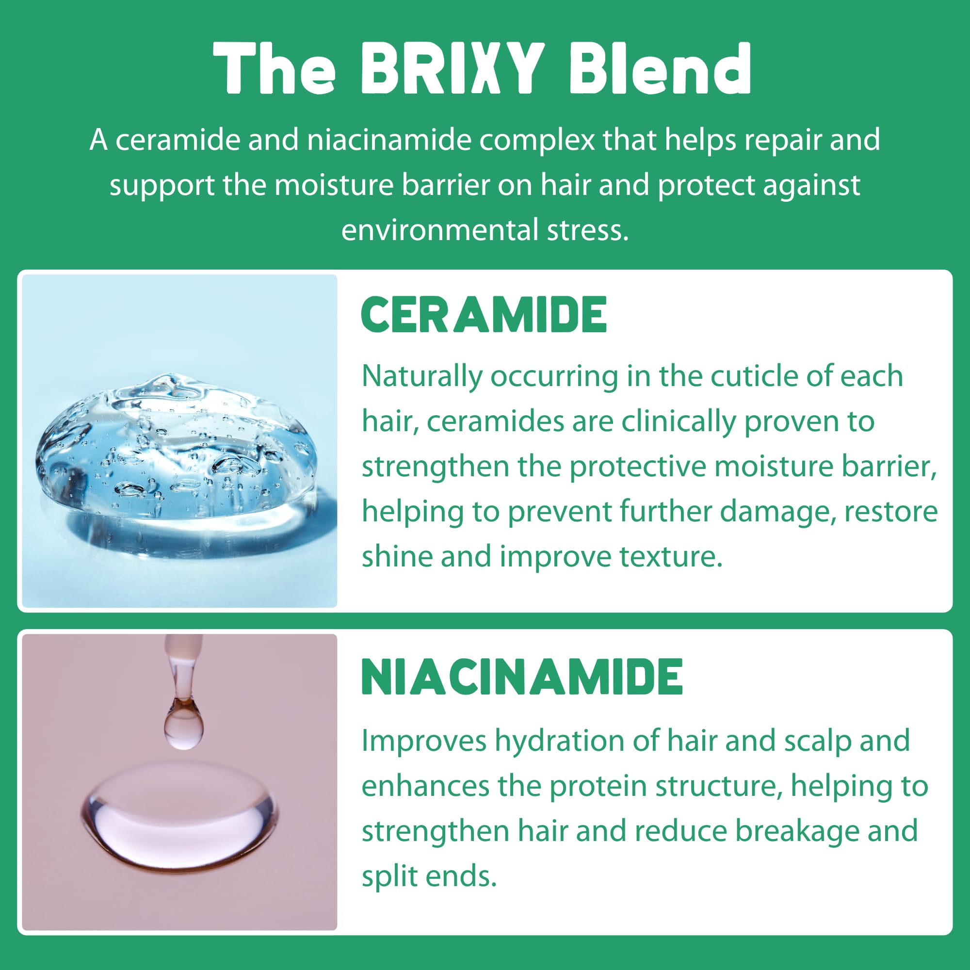 BRIXY - Shampoo Bar - Mint Eucalyptus (113g)