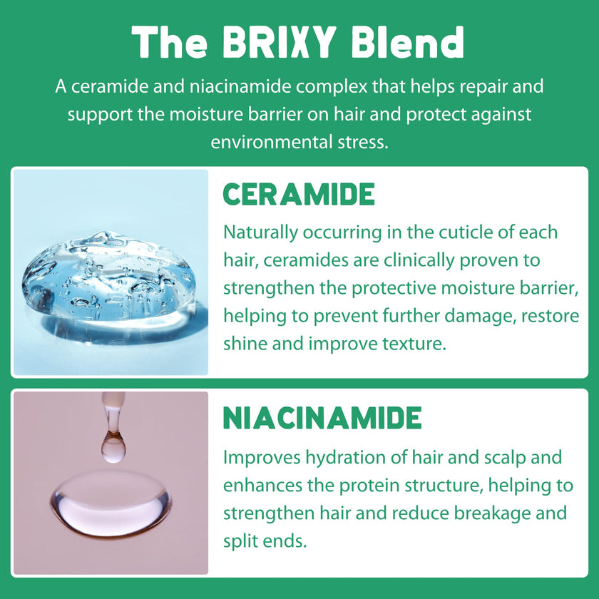 BRIXY - Shampoo Bar - Mint Eucalyptus (113g)
