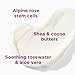 Andalou Naturals - 1000 Roses SOOTHING Body Lotion (946ml)