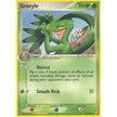Grovyle (32/100) (CG)