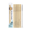The Future Is Bamboo - Bamboo Straws (6pk)