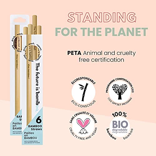 The Future Is Bamboo - Bamboo Straws (6pk)