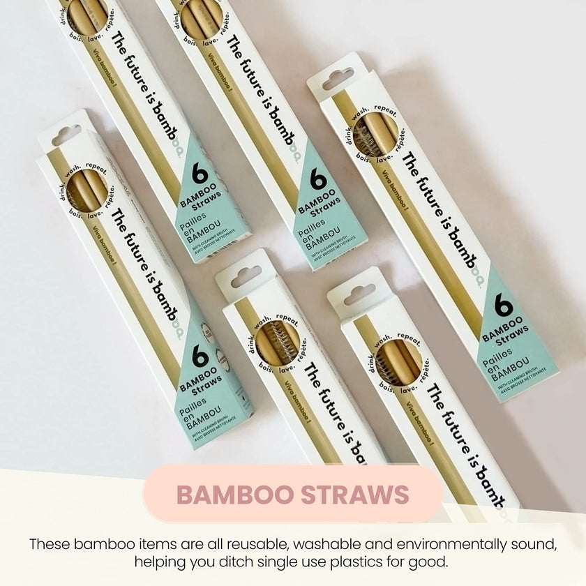 The Future Is Bamboo - Bamboo Straws (6pk)