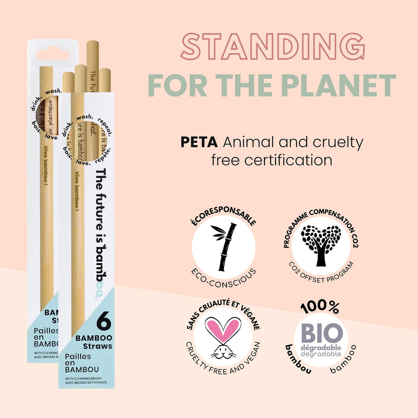The Future Is Bamboo - Bamboo Straws (6pk)