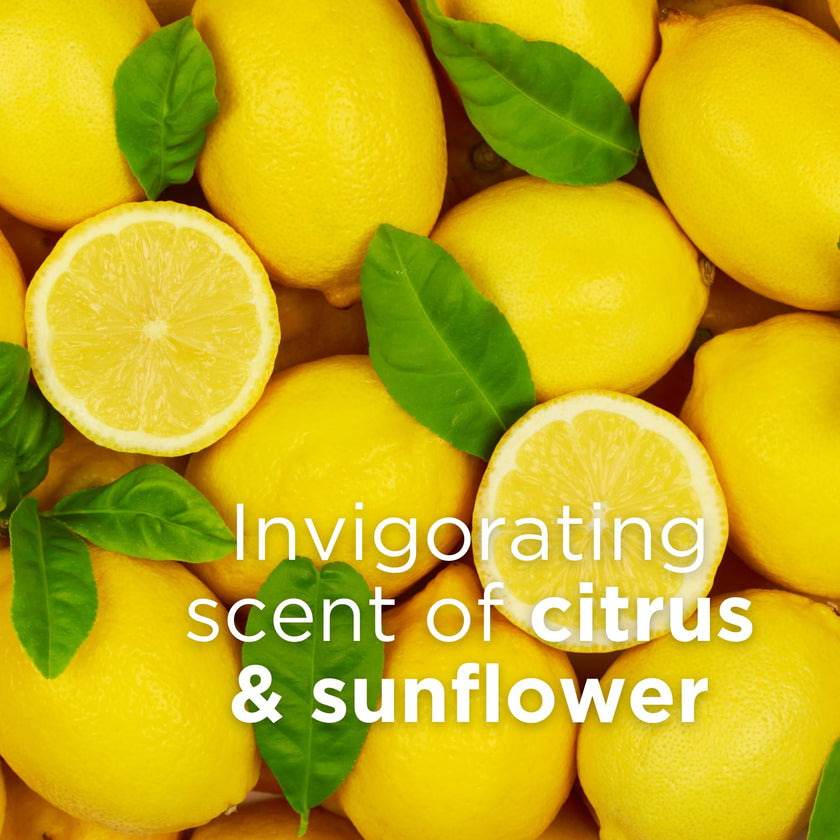 Andalou Naturals - Citrus Sunflower Body Lotion (236ml)