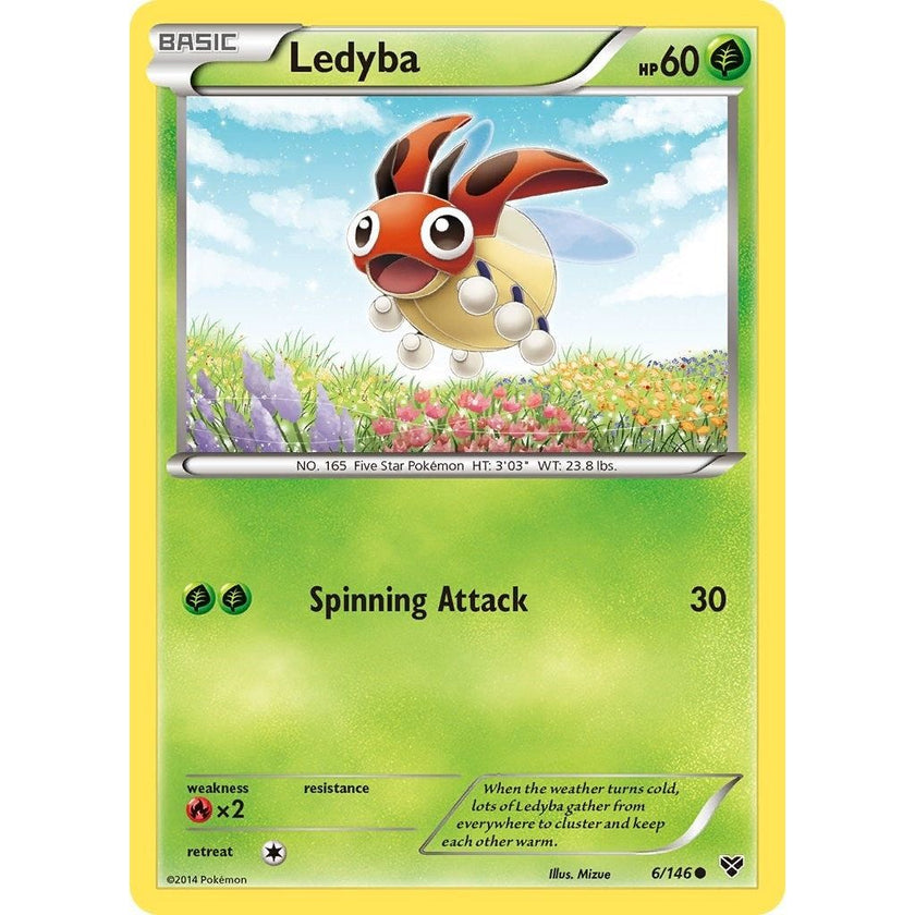 Ledyba (6/146) (XY)