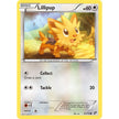 Lillipup (81) (81/114) (BLW)