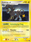 Luxray/17 - POP Series 8 Holofoil
