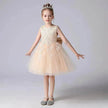 Formal Dress Fashionable Vest Princess Dress Girl Catwalk Show Clothing Birthday dress for Kids