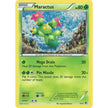 Maractus (002/012)