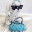 Sniffany Dog Toy – Luxury Plush Purse Toy for Dogs