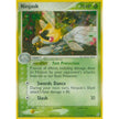 Ninjask (13/107) (DX)