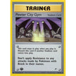 Pewter City Gym (115/132) (G1)