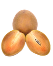 Fresh Chikoo