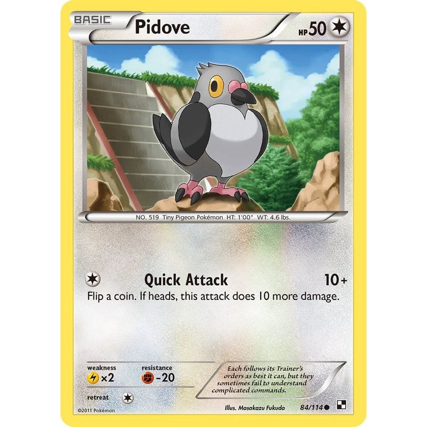 Pidove (84/114) (BLW)