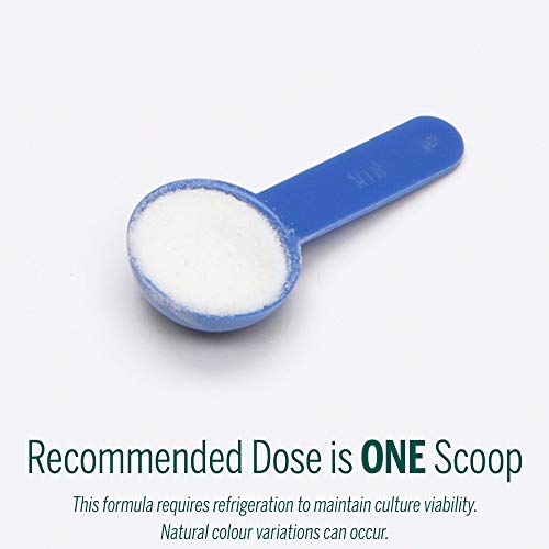 Genestra Brands - HMF Powder (75g)