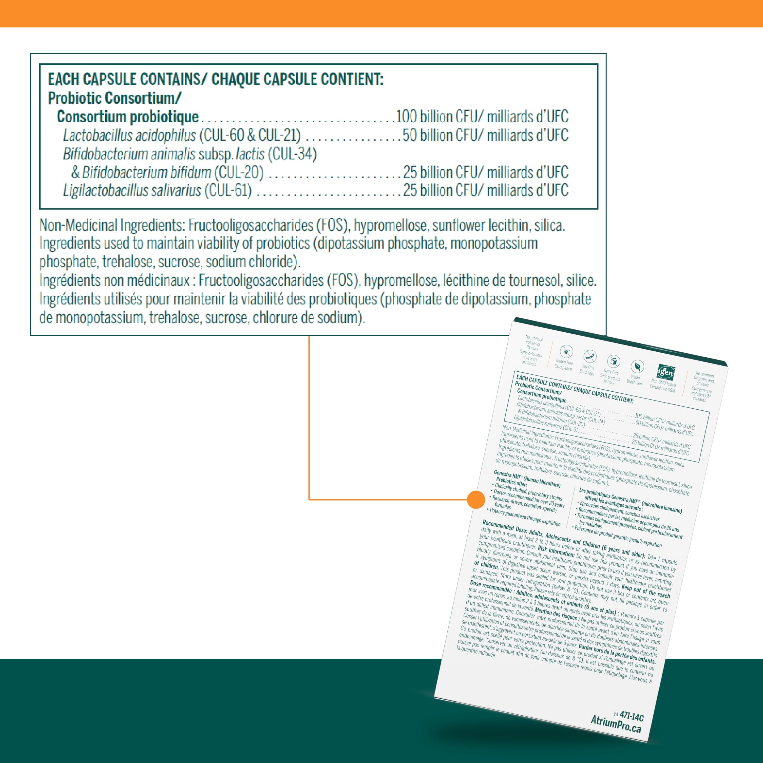 Genestra Brands - HMF Antibiotic Care (14caps)