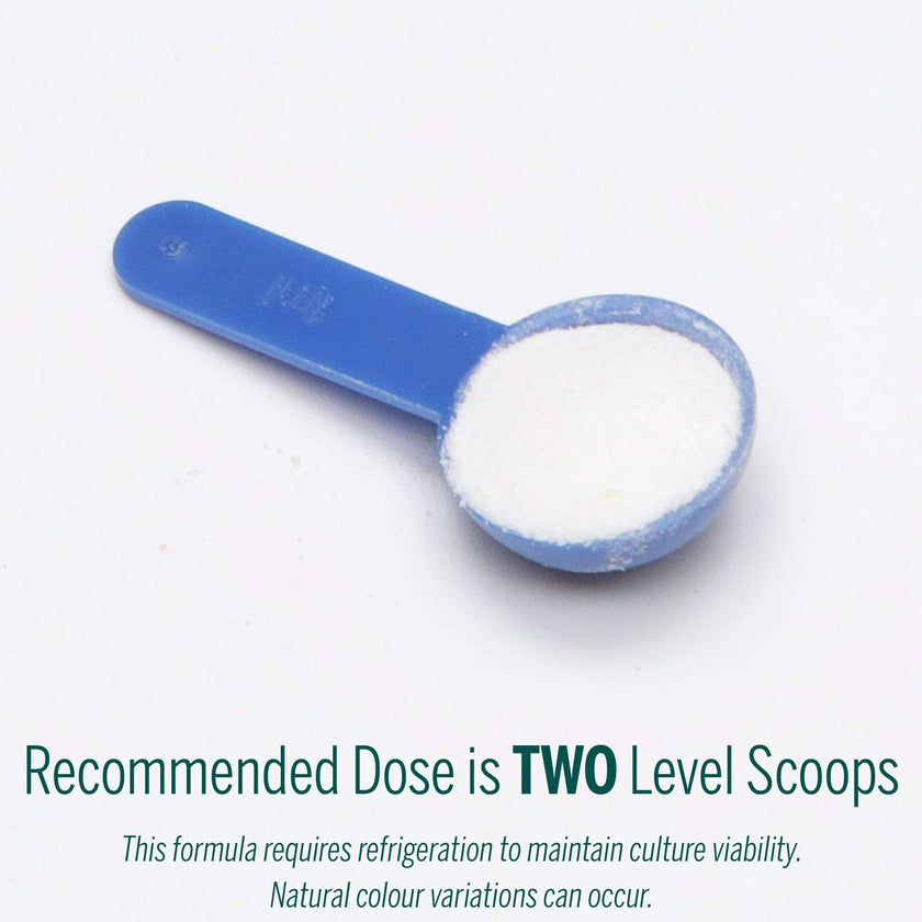 Genestra Brands - HMF Multi Strain Powder (60g)