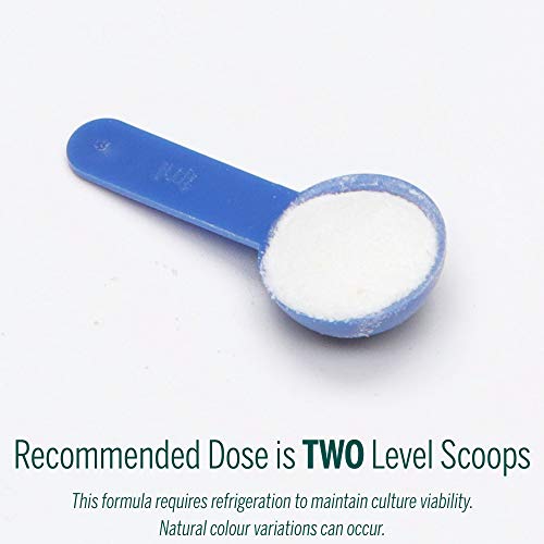 Genestra Brands - HMF Multi Strain Powder (60g)