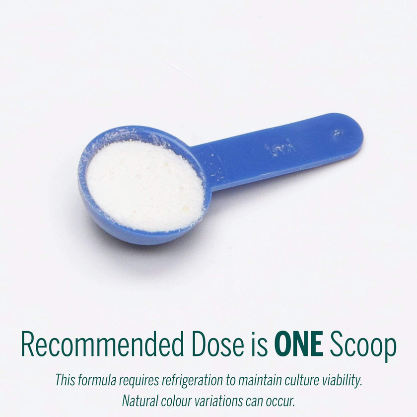 Genestra Brands - HMF Super Powder (138g)