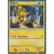 Raikou - HGSS19 (HGSS19) (PR)