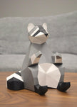 Raccoon