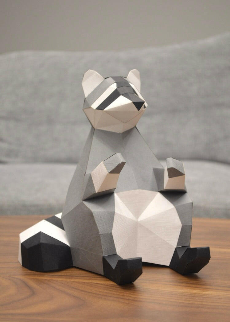 Raccoon