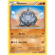 Rhyhorn (60/146) (XY)