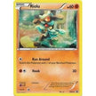 Riolu - BW33 (Cosmos Holo) (BW33) (PR)
