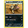Sandile (69/146) (XY)
