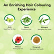 Indica Easy Shampoo Hair Colour 180ml