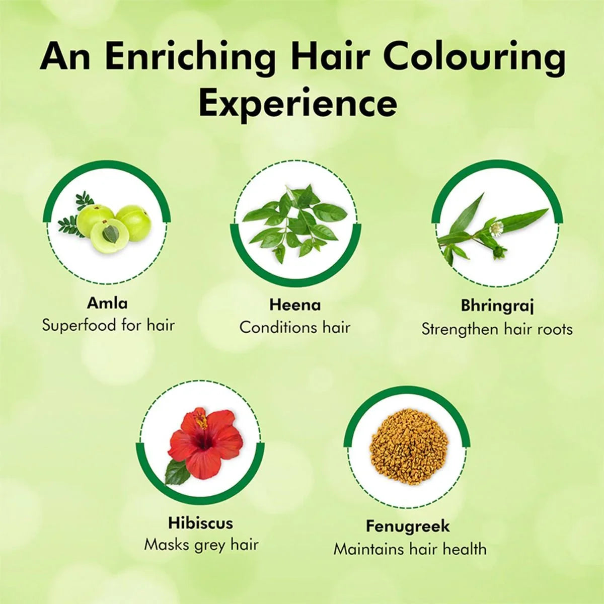 Indica Easy Shampoo Hair Colour 180ml