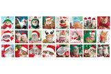 Eurographics - Advent Christmas Whiskers
