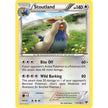 Stoutland (110/146) (XY)
