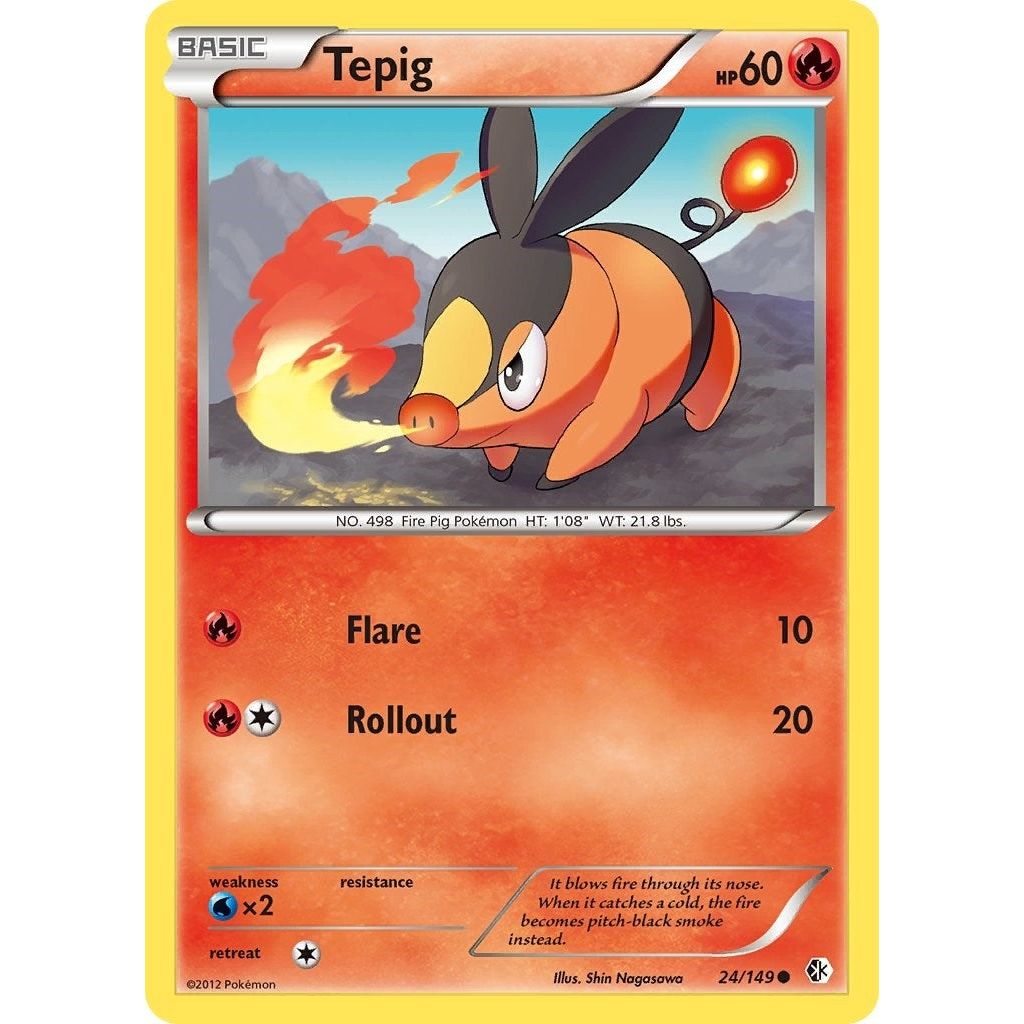 Tepig (24/149) (BCR)
