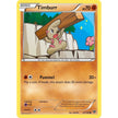 Timburr (65/146) (XY)