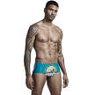 Men's Low-Rise Swim Briefs | Surf Beachwear Sport Swimsuit Canada | M-2XL