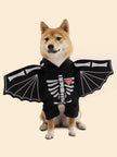 BatDog Halloween Costume | Dog Costume with Hat