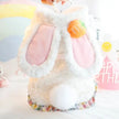 Easter Bunny Outfit