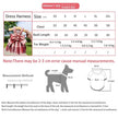 Fiona Bow Dog Dress Harness and Leash Set | Dog Walking Set