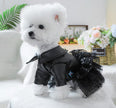 She’s a Rockstar Dog Dress | Dog Dress for Special Occasions