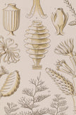ESSENCE MARINE, CADRE VINTAGE OR