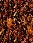Fire by Timeless Treasures - #C7734