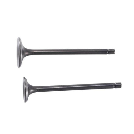 2PCS Motorcycle Engine Nose Alloy Parts Valve CG125