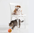 Smart Self-Rotating Cat Ball Toy – USB Rechargeable, LED Light, Remote Control Option | Yellow, Pink, Orange