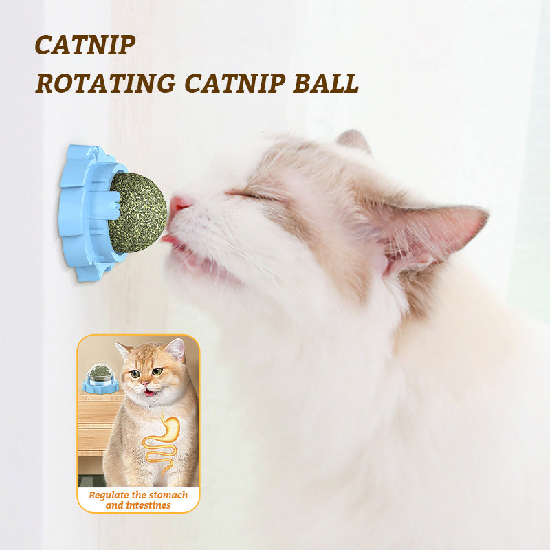 Lion Catnip Molar Cat Toy with Catnip Flavors | EX-STOCK Canada