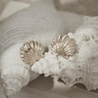 Silver Shell Earrings